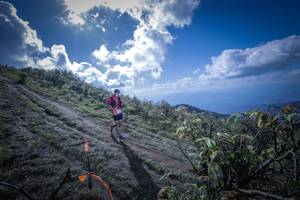 BIB: 5136
                            <button type="button" onclick="openModal(15955395)" class="btn btn-primary btn-sm float-right btn-popup" data-toggle="modal" data-target=".modal-high-quality">
                        <i class="fas fa-shopping-cart"></i> Add to Cart
                    </button>
                                            <button type="button" onclick="isThisMe(15955395, true)" class="btn btn-success btn-sm float-right btn-popup btn-isme hidden" data-toggle="tooltip" data-placement="bottom" title="นี่คือรูปของคุณใช่ไหม คลิกที่นี่เพื่อเอาเข้าอัลบั้ม">
                        <i class="fas fa-plus"></i> Add to album
                    </button>
                    <button type="button" onclick="isThisMe(15955395, false)" class="btn btn-warning btn-sm float-right btn-popup btn-isnotme hidden">
                        <i class="fas fa-ban"></i> Remove from album
                    </button>